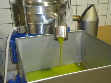 olio